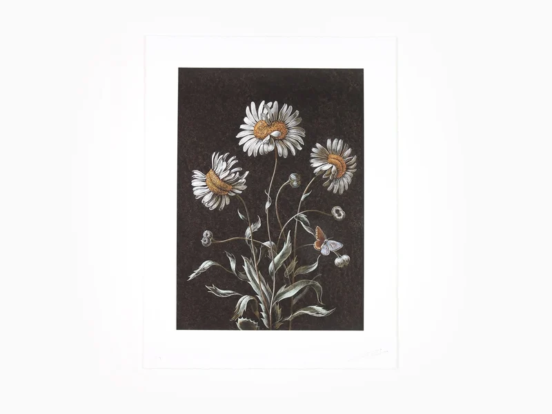Laurent Grasso - Daisy