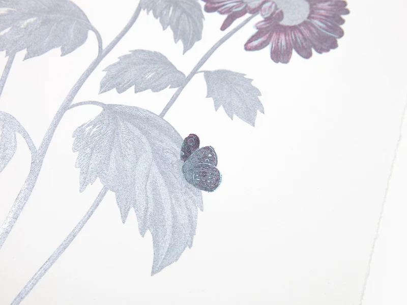 Laurent Grasso - Herbier du futur, Gerbera (bleu et argent)