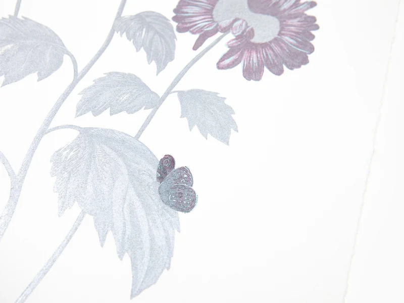 Laurent Grasso - Herbier du futur, Gerbera (bleu et argent)