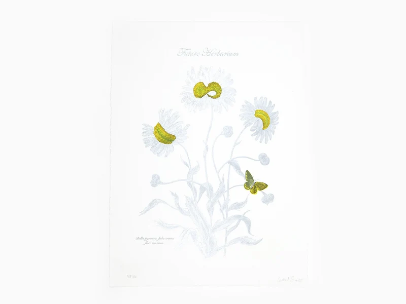 Laurent Grasso - Future Herbarium Bellis Pyrinaea (yellow & silver)