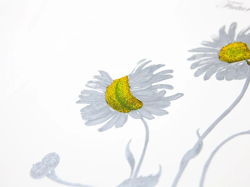 Laurent Grasso - Future Herbarium Bellis Pyrinaea (yellow & silver)