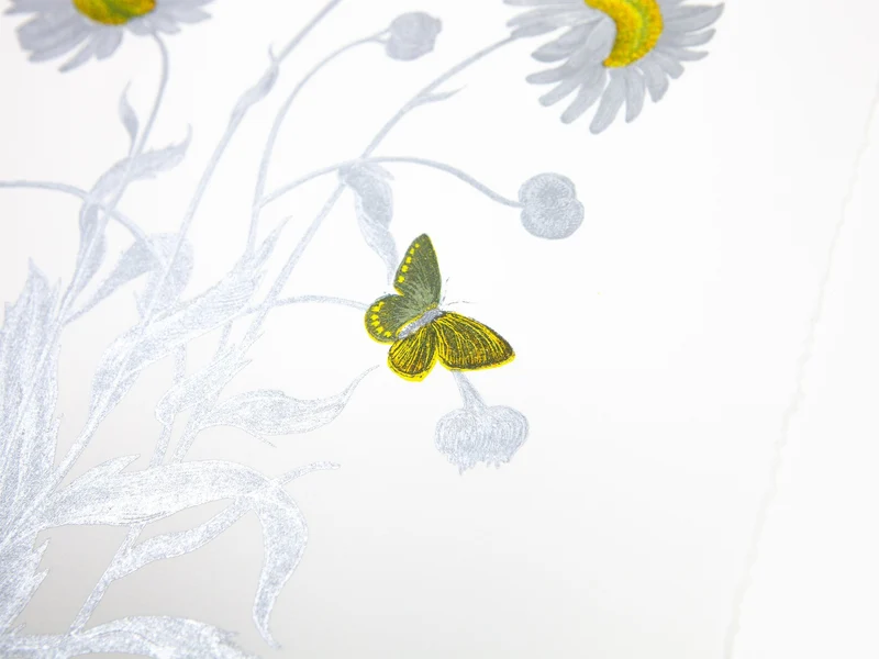 Laurent Grasso - Future Herbarium Bellis Pyrinaea (yellow & silver)