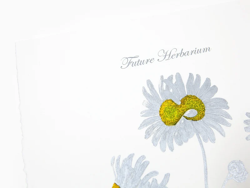 Laurent Grasso - Future Herbarium Bellis Pyrinaea (yellow & silver)