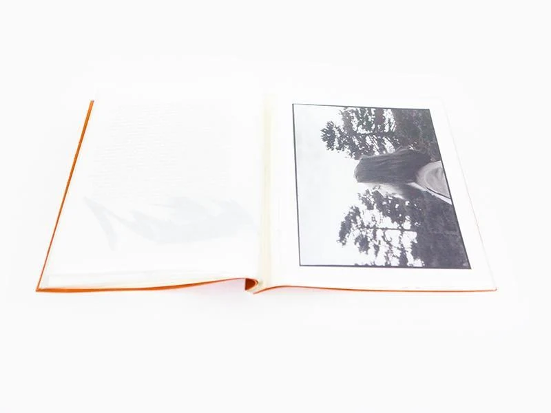 Sophie Calle - Bronx