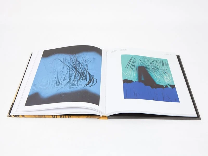 Hans Hartung - Hans Hartung et les peintres lyriques
