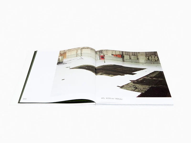 Pieter Vermeersch - Variations - Catalogue Ludion