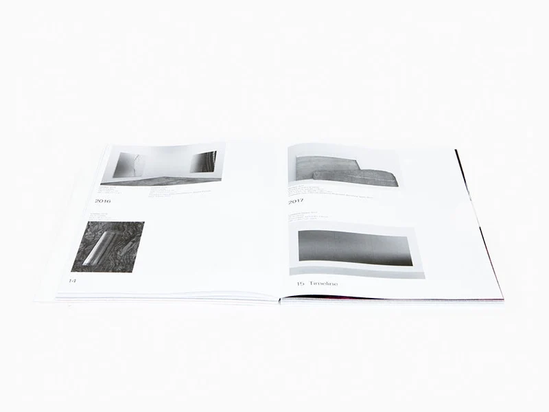 Pieter Vermeersch - Variations - Catalogue Ludion