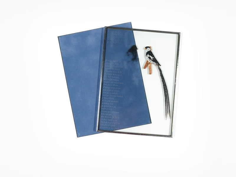 Sophie Calle - Sans Lui (édition spéciale)
