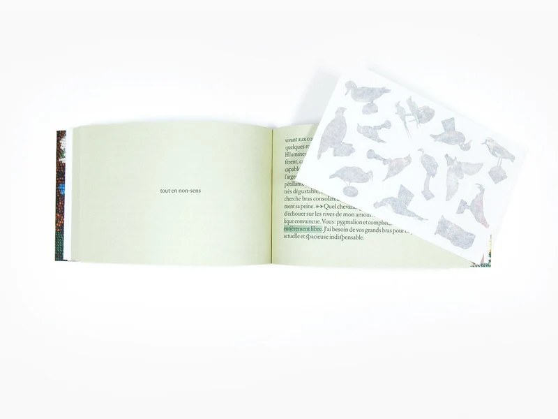 Sophie Calle - Sans Lui (édition spéciale)