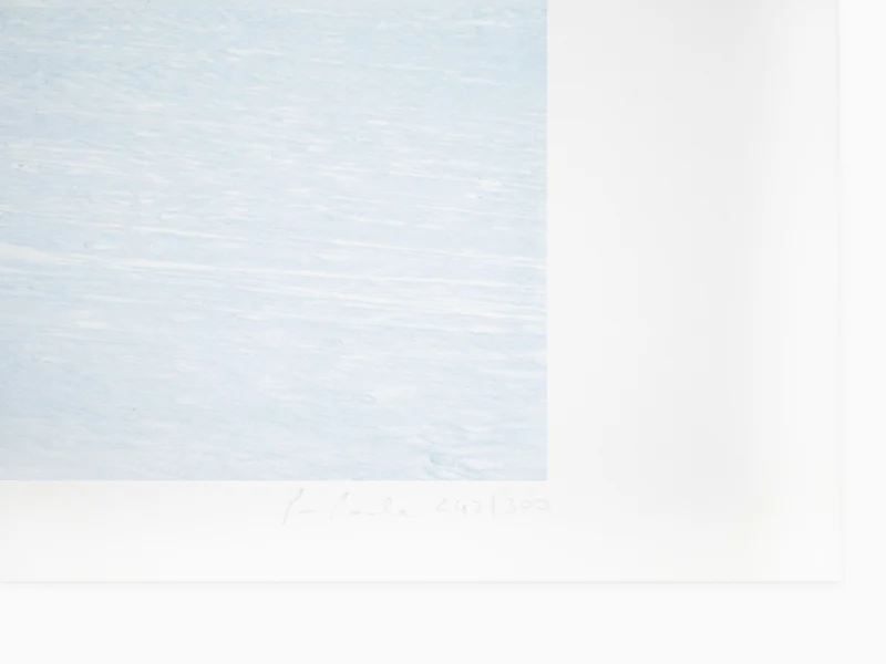 Paola Pivi - Untitled (Zebras)