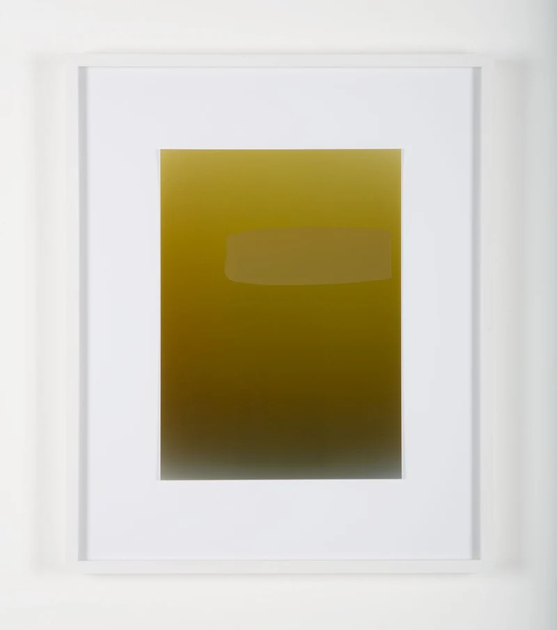 Pieter Vermeersch - Sans titre 2012 (C-print & green Sérigraphie), encadré