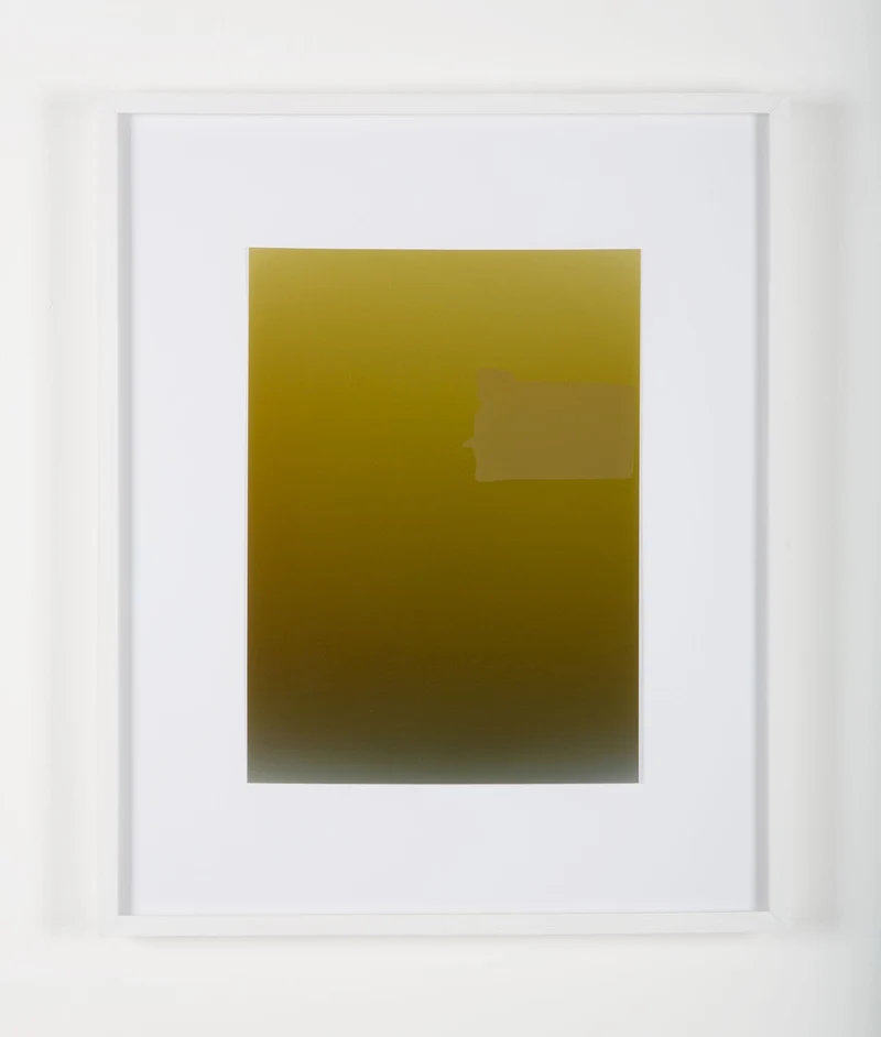 Pieter Vermeersch - Sans titre 2012 (C-print & green Sérigraphie), encadré