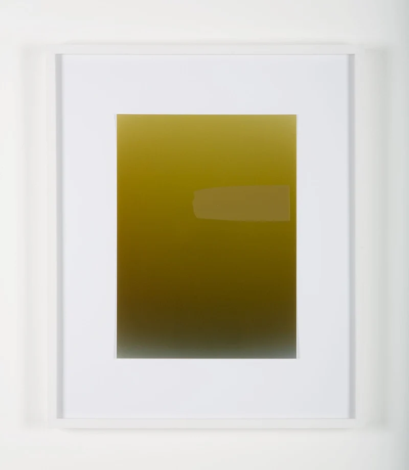 Pieter Vermeersch - Sans titre 2012 (C-print & green Sérigraphie), encadré