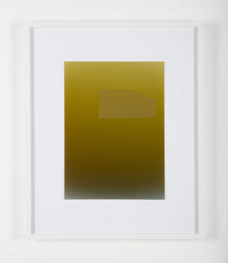 Pieter Vermeersch - Sans titre 2012 (C-print & green Sérigraphie), encadré