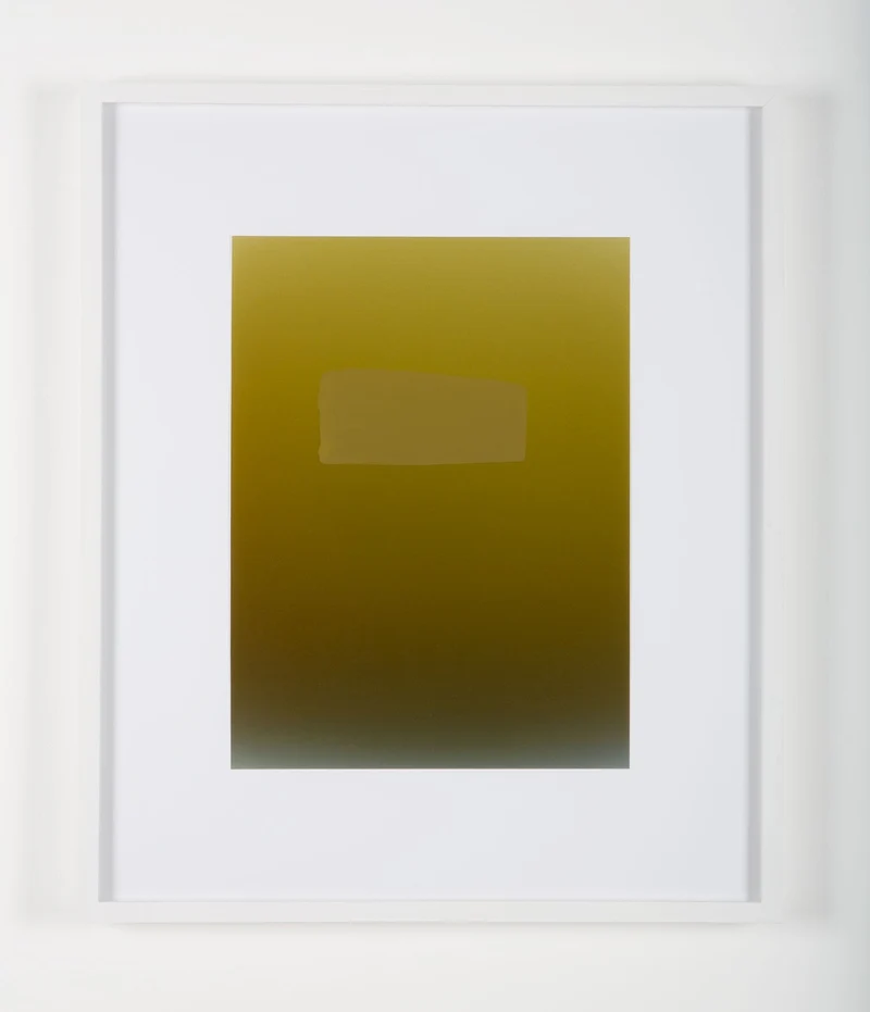 Pieter Vermeersch - Sans titre 2012 (C-print & green Sérigraphie), encadré