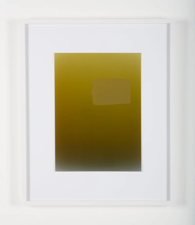 Pieter Vermeersch - Sans titre 2012 (C-print & green Sérigraphie), encadré