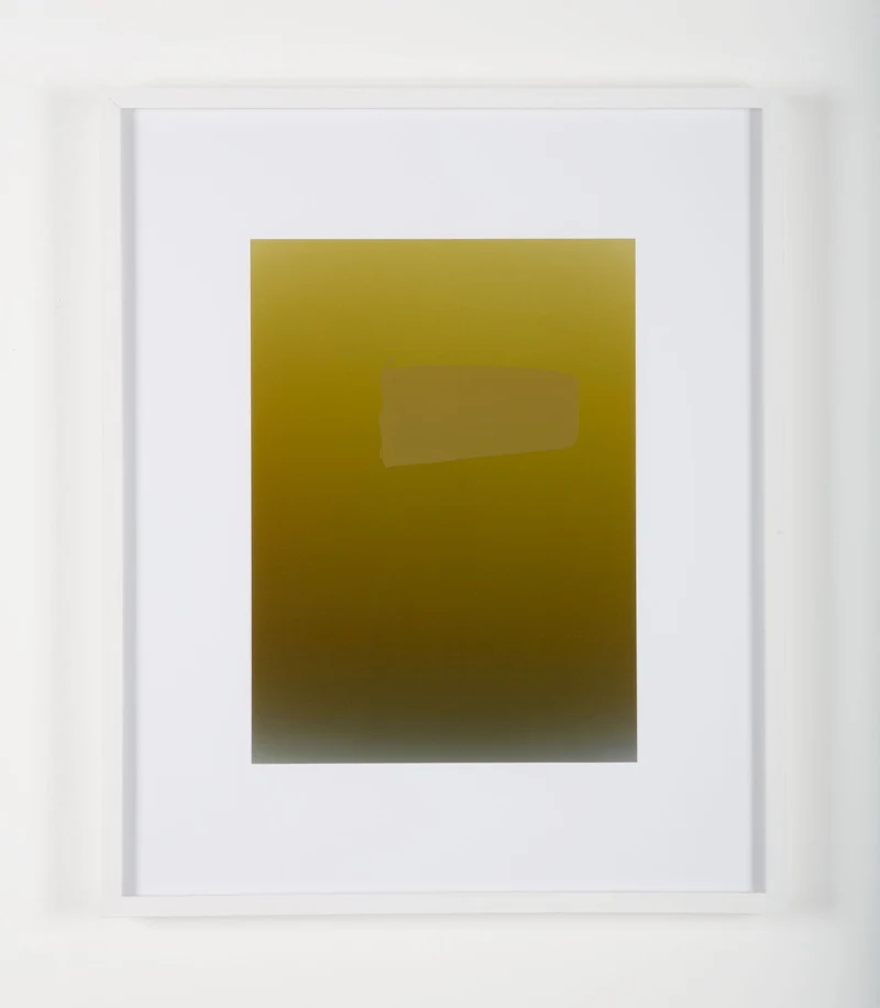 Pieter Vermeersch - Sans titre 2012 (C-print & green Sérigraphie), encadré