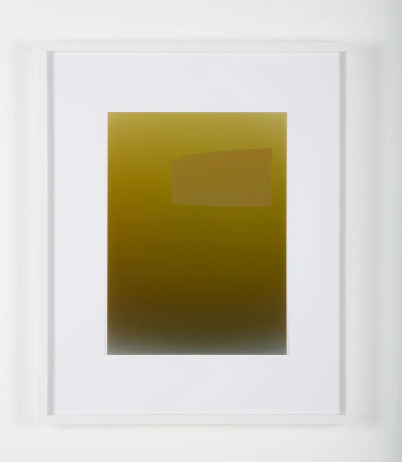 Pieter Vermeersch - Sans titre 2012 (C-print & green Sérigraphie), encadré