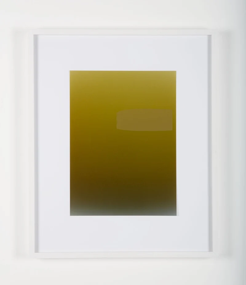 Pieter Vermeersch - Sans titre 2012 (C-print & green Sérigraphie), encadré