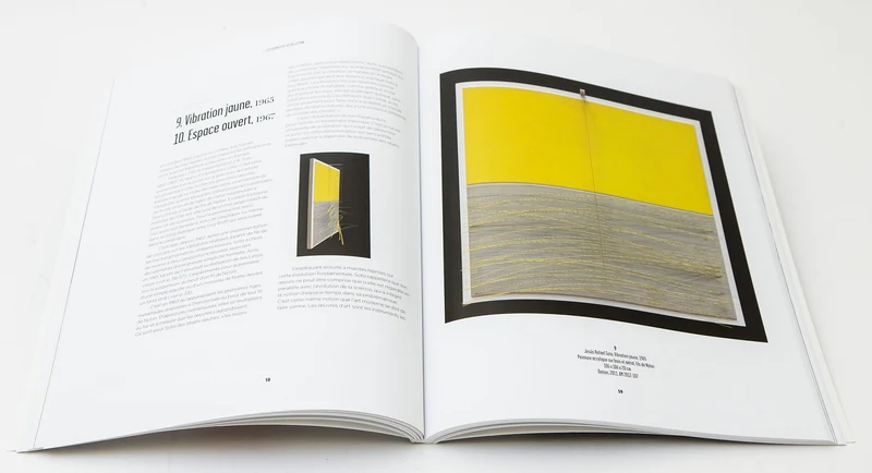 SOTO - Catalogue Pompidou