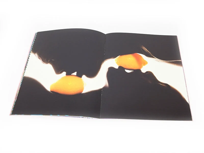 Toiletpaper Magazine n° 16 - édition limitée (puzzle)