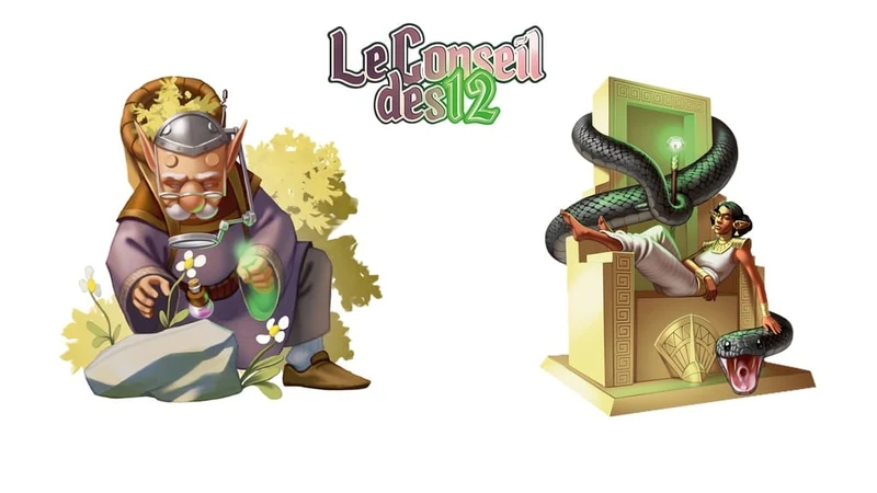 Le Conseil des 12 (FR)