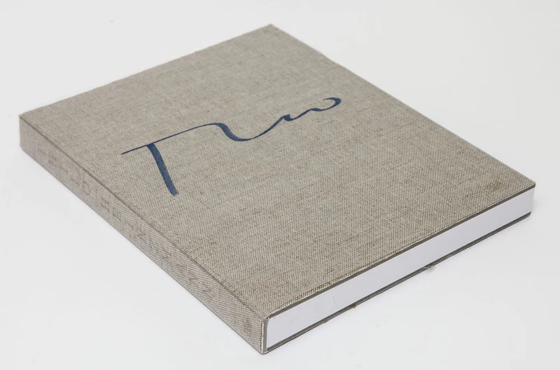 Thilo Heinzmann - monographie chez Hatje Cantz