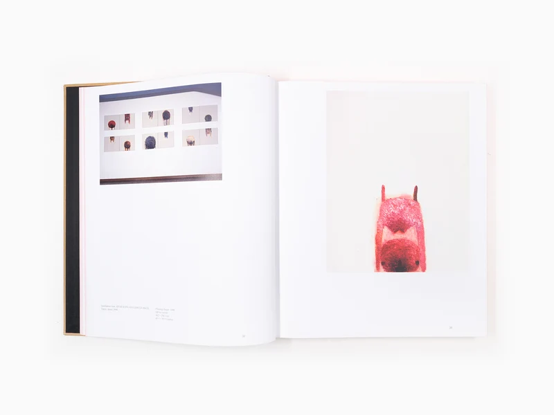 Izumi Kato - Perrotin monographie