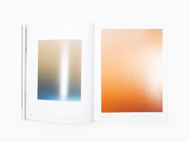Pieter Vermeersch -monographie Perrotin