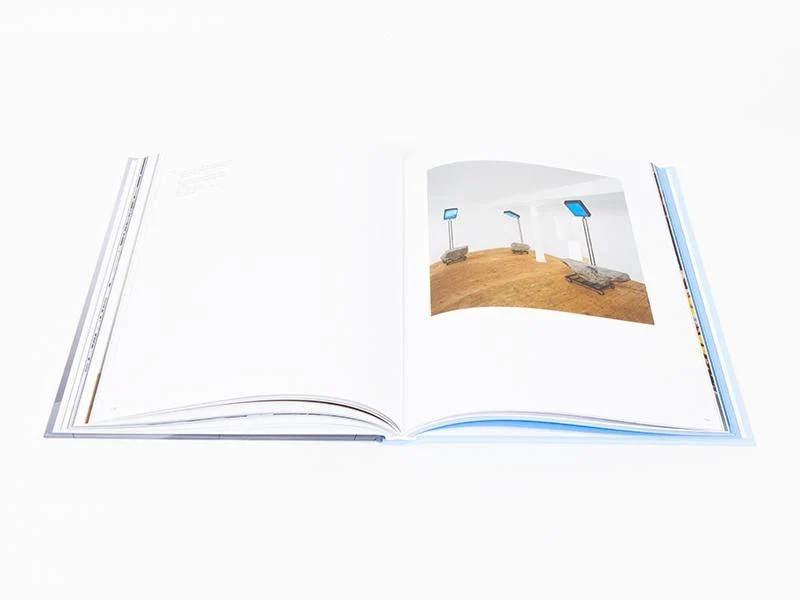 IFP - Perrotin monographie