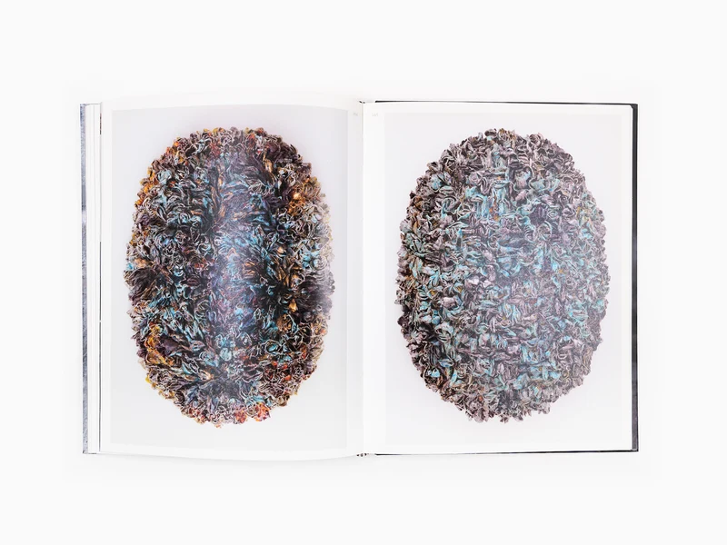 Johan Creten - Monographie Perrotin
