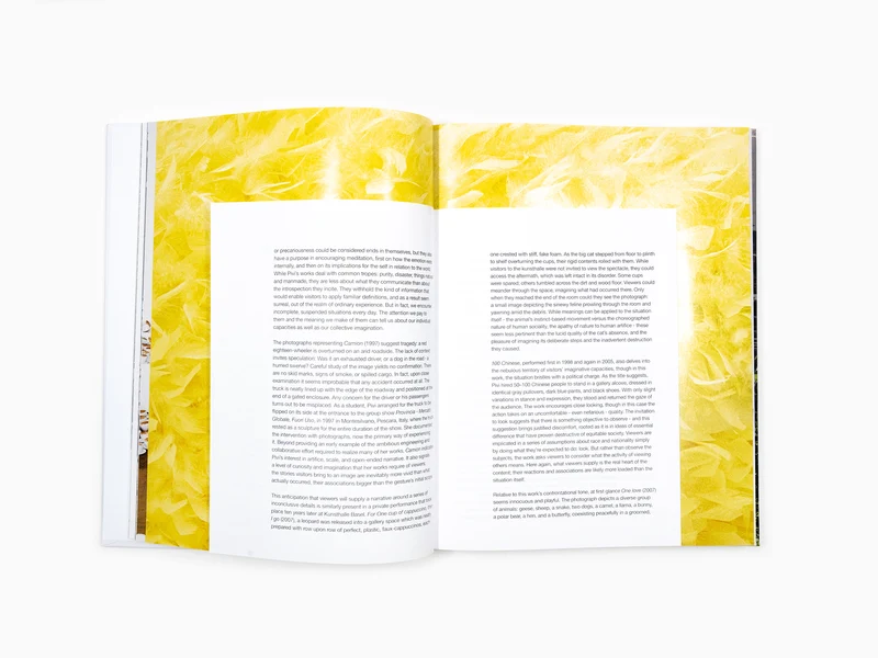 Paola Pivi - Perrotin monographie