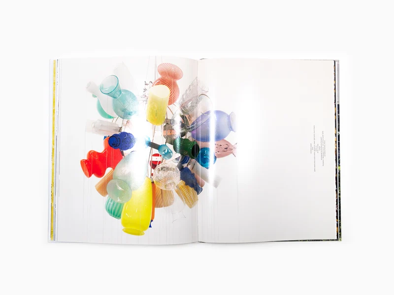 Paola Pivi - Perrotin monographie