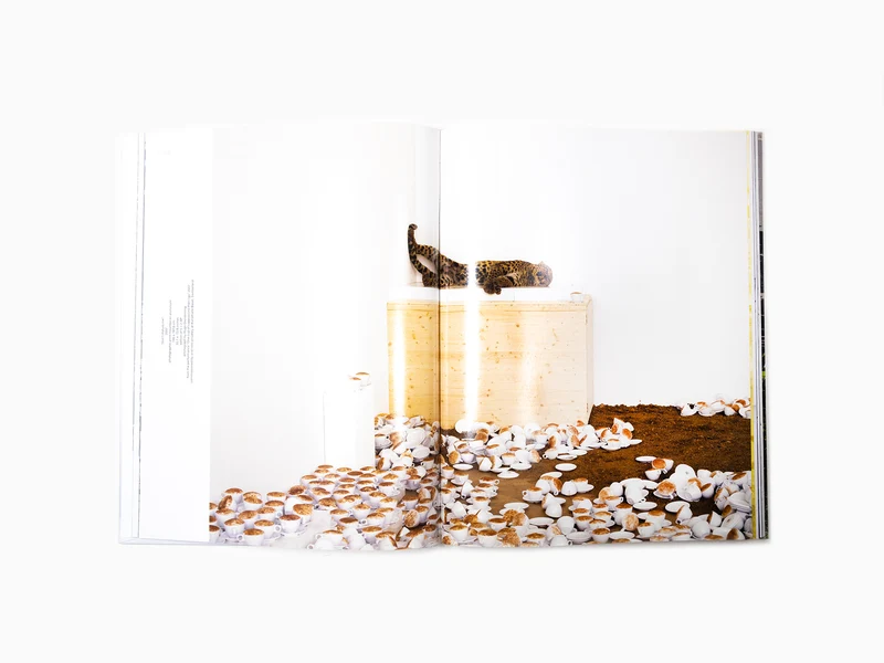 Paola Pivi - Perrotin monographie