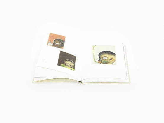 Izumi Kato - Drawings & Paper Works