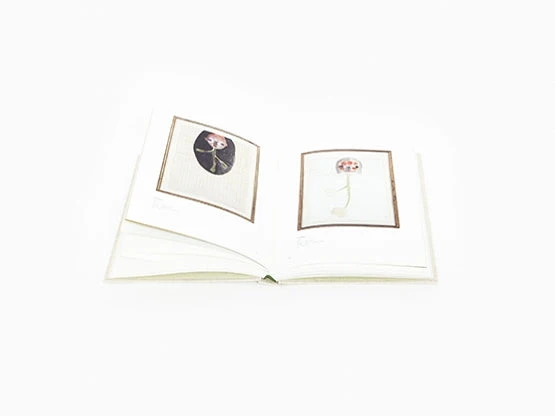 Izumi Kato - Drawings & Paper Works