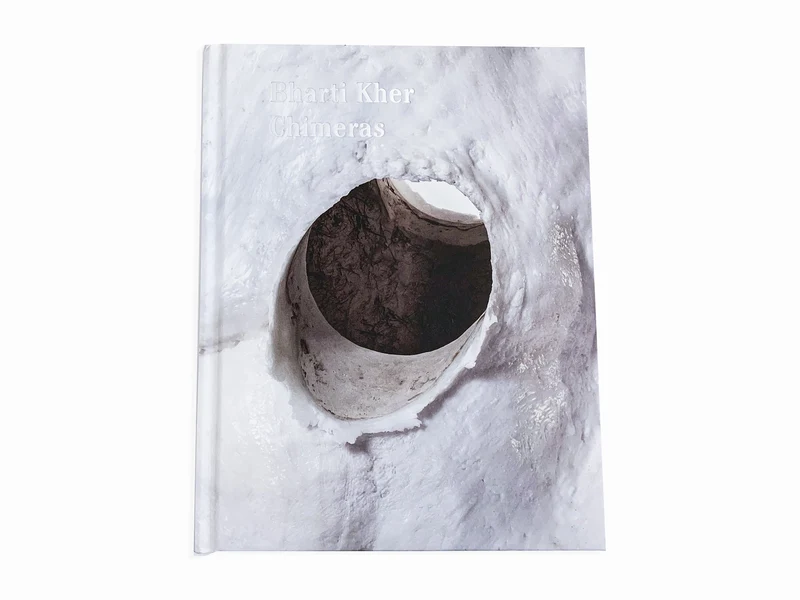 Bharti Kher - Chimeras