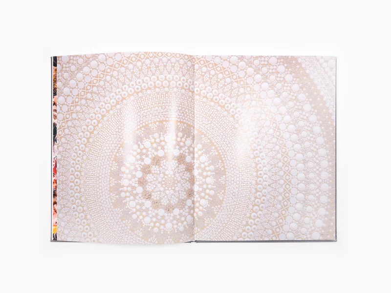 Bharti Kher - Anomalies