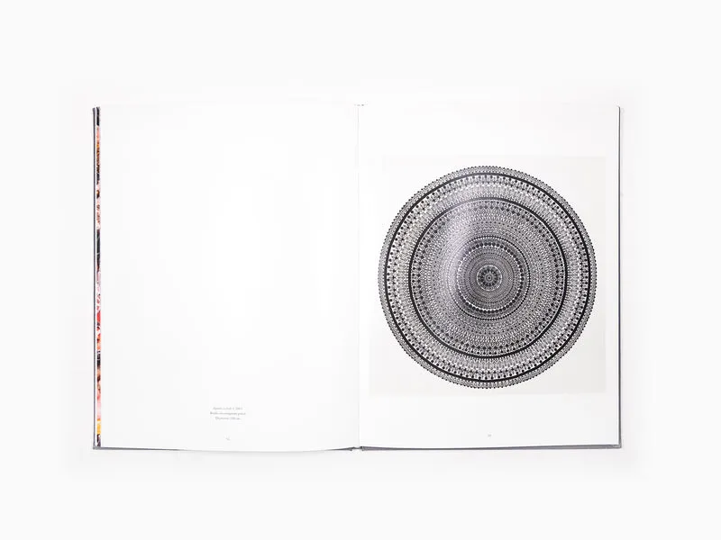 Bharti Kher - Anomalies