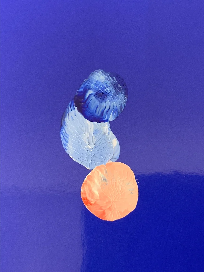 Pieter Vermeersch - Variations (édition spéciale)