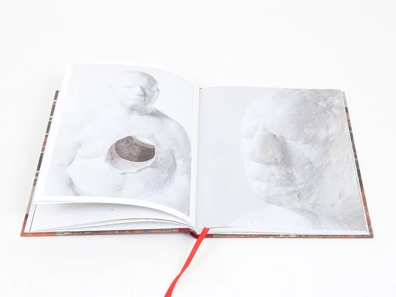Bharti Kher - This Breathing House