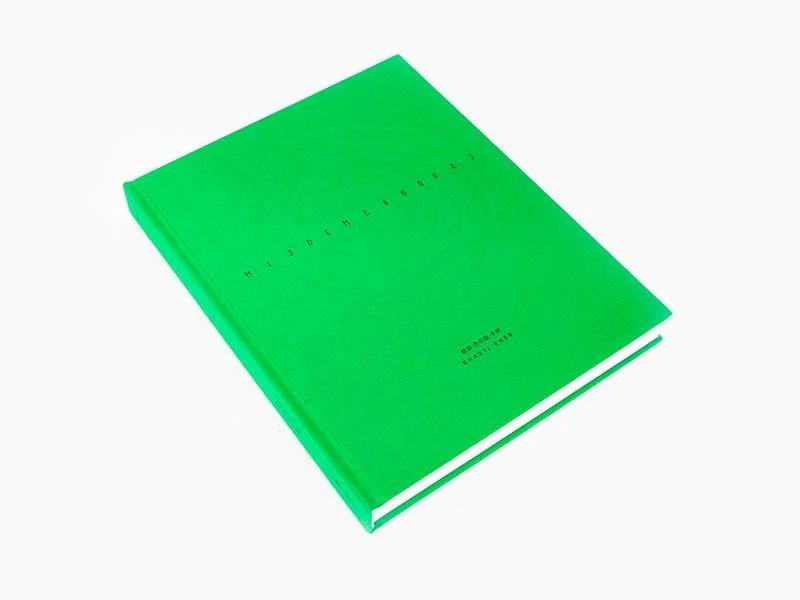 Bharti KHER - Misdemeanours