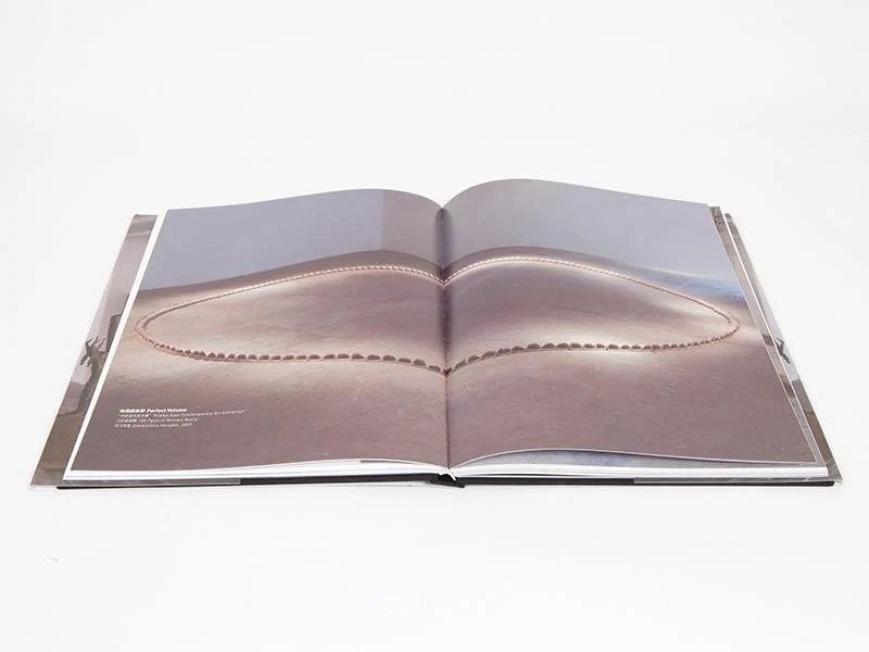 Xu Zhen - Catalogue UCCA
