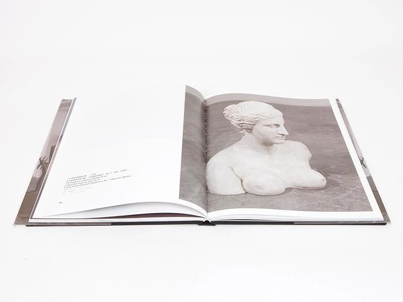 Xu Zhen - Catalogue UCCA