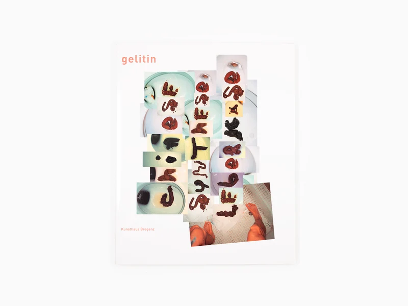 Gelitin - Chinese Synthese Leberkäse