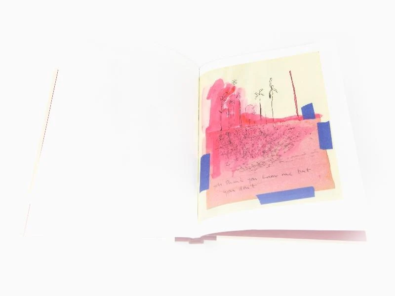 Bharti Kher - Sketchbooks and Diaries
