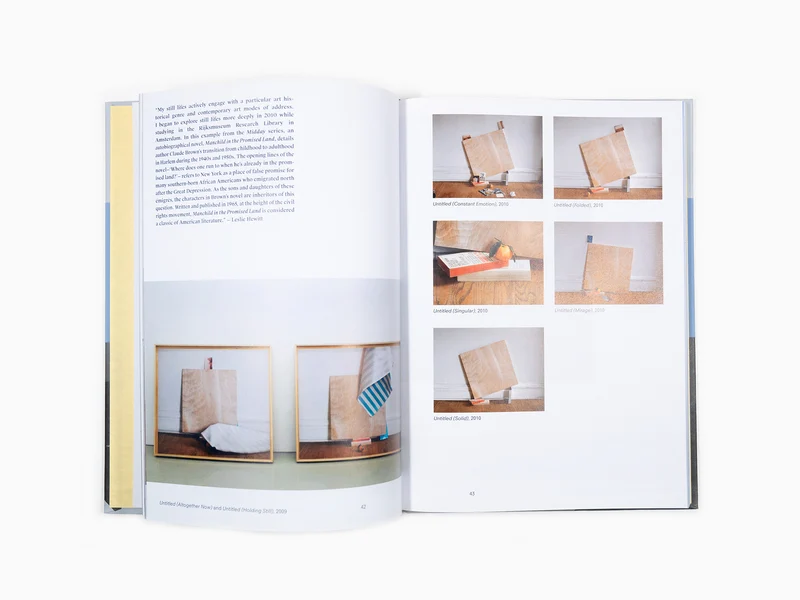 Leslie Hewitt - Osmos monographie