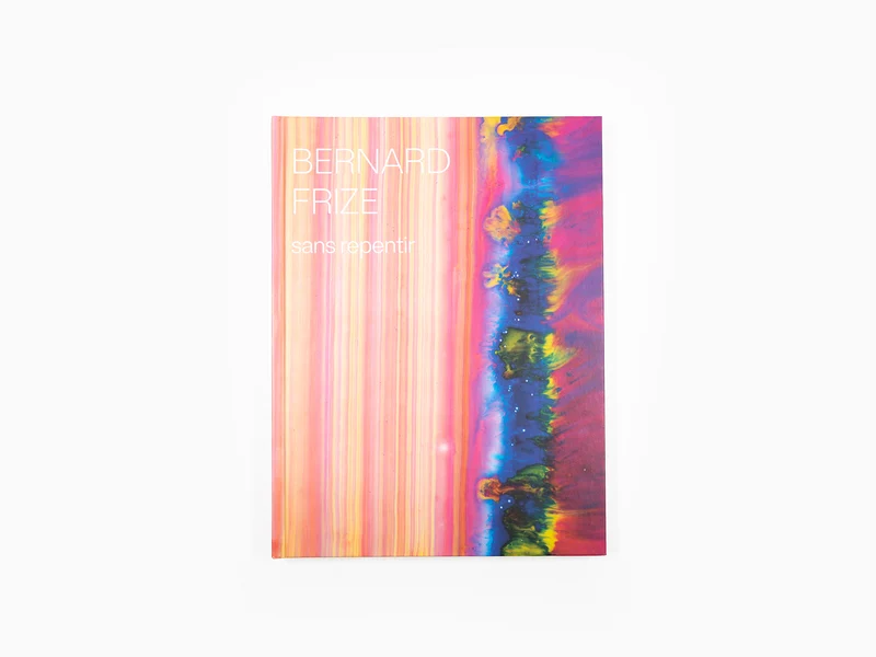 Bernard Frize - Sans repentir (Catalogue Pompidou)