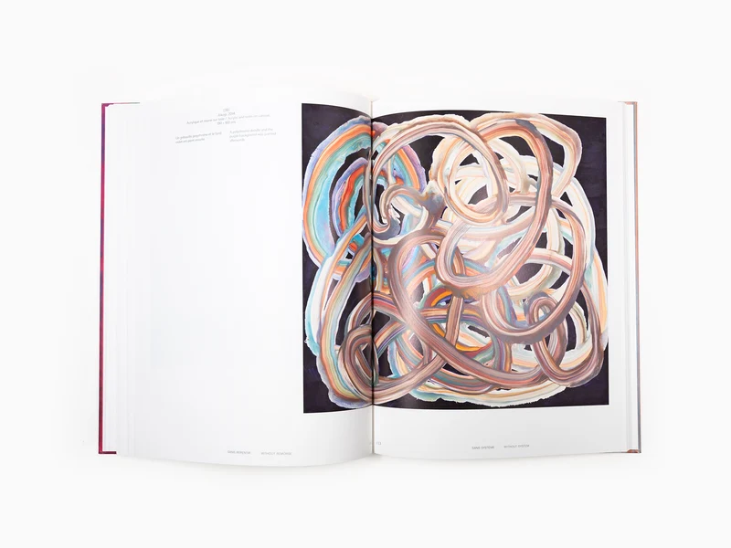 Bernard Frize - Sans repentir (Catalogue Pompidou)