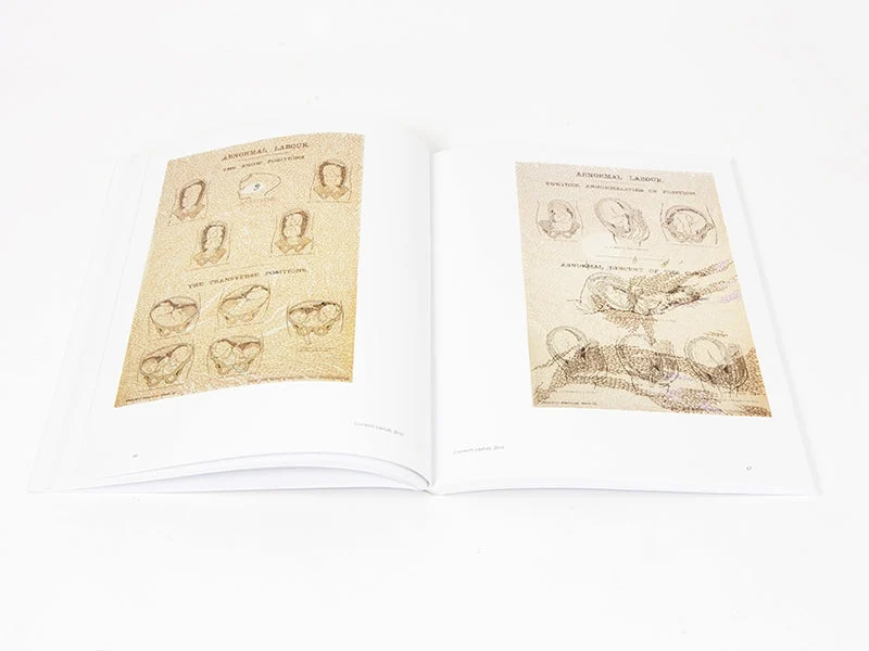 Bharti Kher - Catalogue MATTER